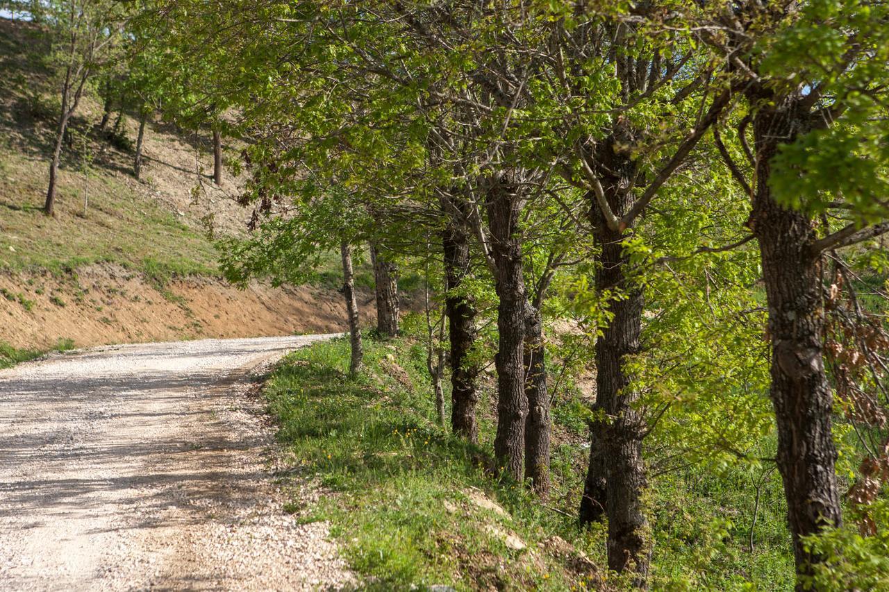 Casale Virginia Konuk evi Cesariano Dış mekan fotoğraf